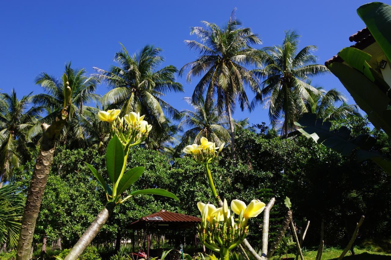 Twin Villas Apartment With Swimming Pool For 2 Houses Wok Tum Bagian luar foto